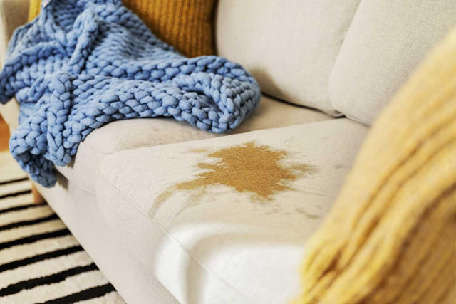 Deep cleaning upholstery
