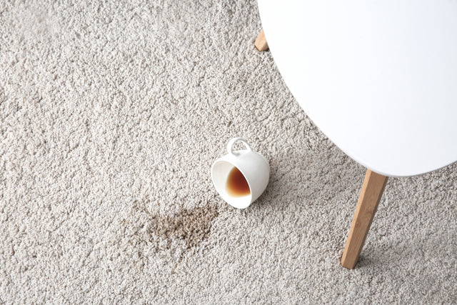 How To Get Coffee Stains Out Of Carpet