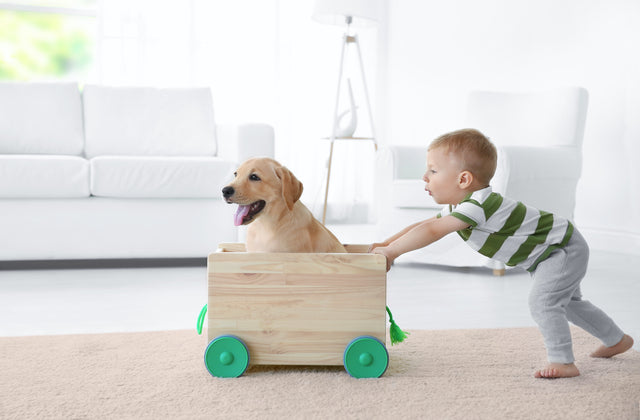 Dogs for Kids: 5 Steps to Develop That Best Friend Relationship