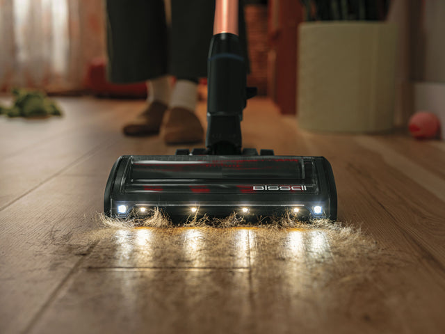 PowerClean DualBrush Professional