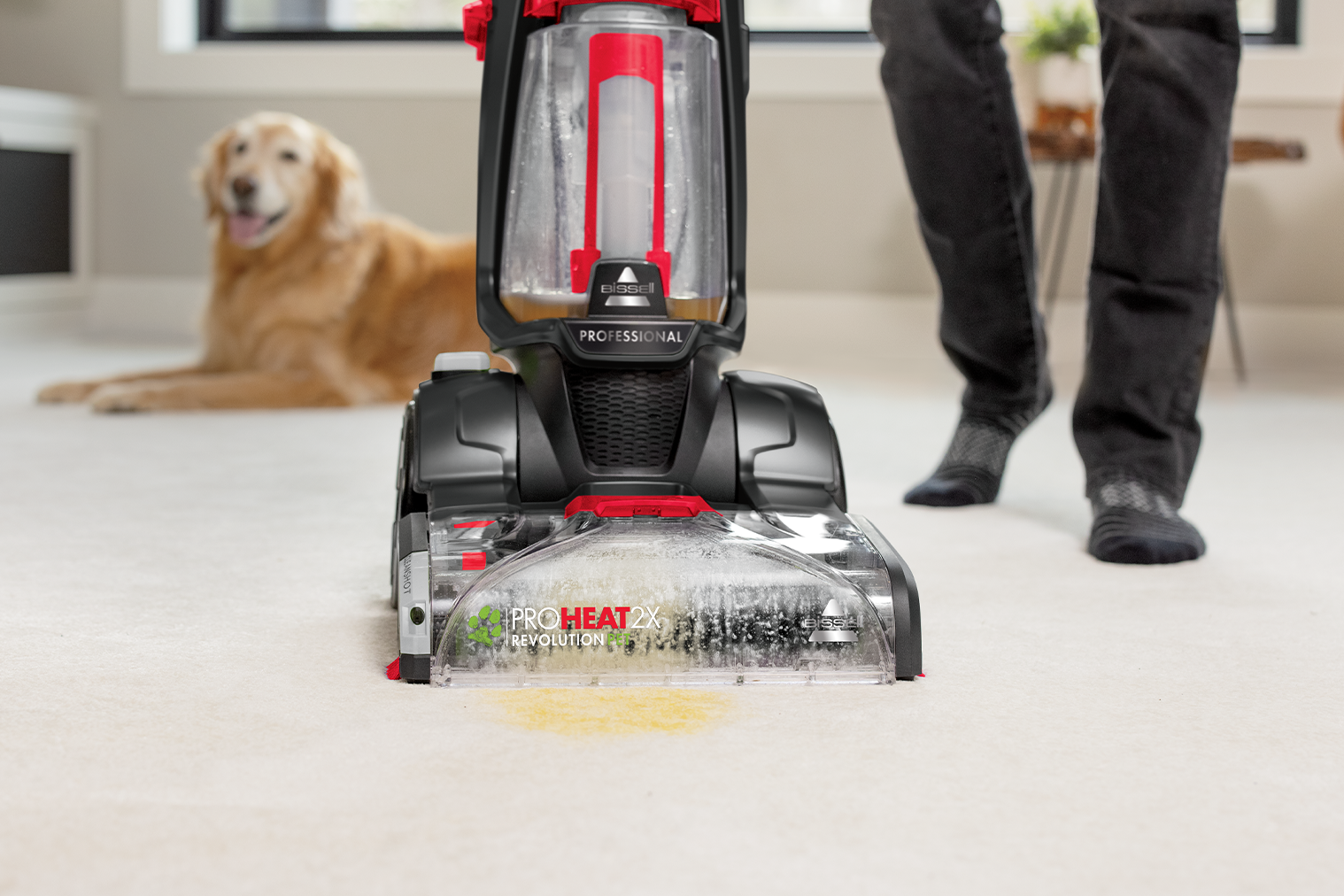 Bissell ProHeat 2X Revolution Pet Dual shops Dirtlifter Powerbrushes Express Clean